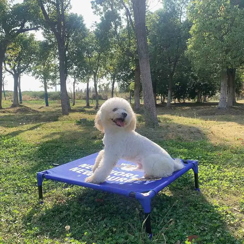 FULED Portable Outdoor Elevate - Outdoor Camping Dog Bed recension och pris