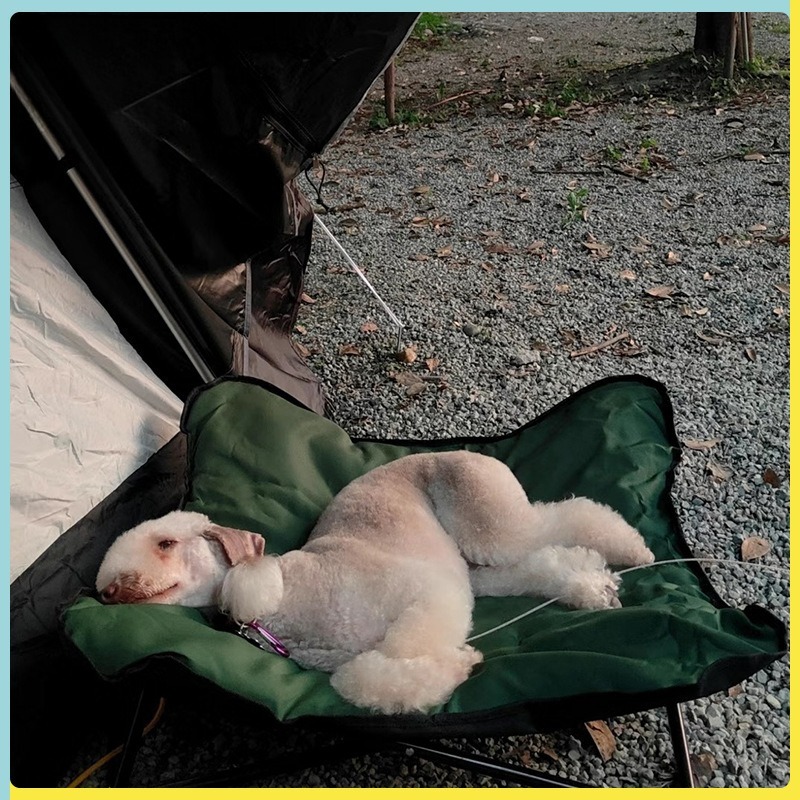 Portable Folding Pet Bed Outdo - Outdoor Camping Dog Bed recension och pris