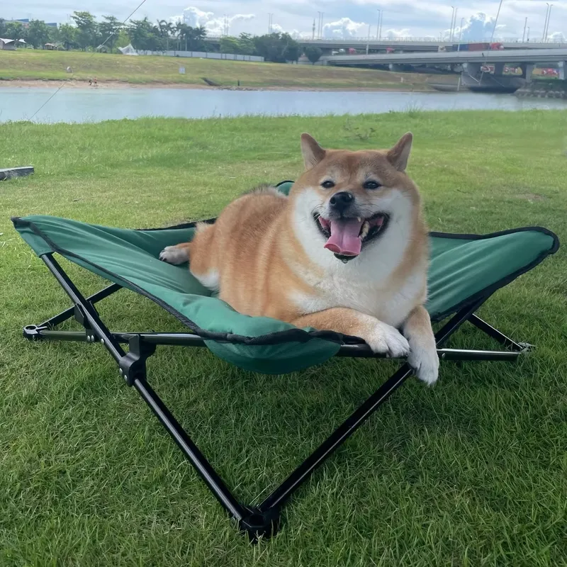 for Luxurious Modern Portable  - Outdoor Camping Dog Bed recension och pris